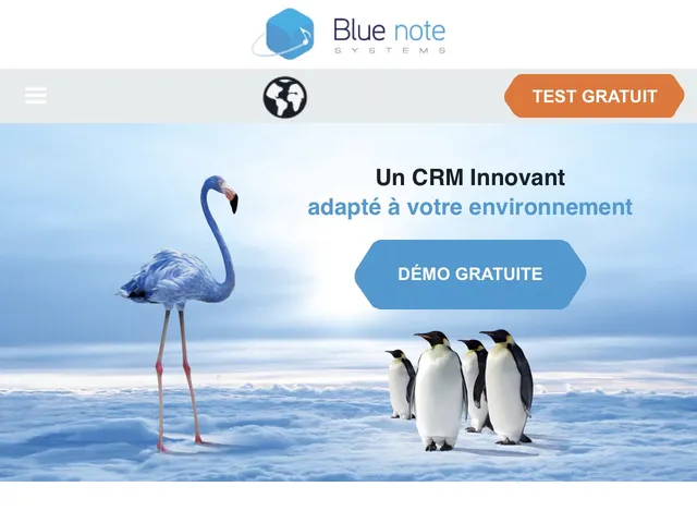 Blue Note Systems CRM Screenshot