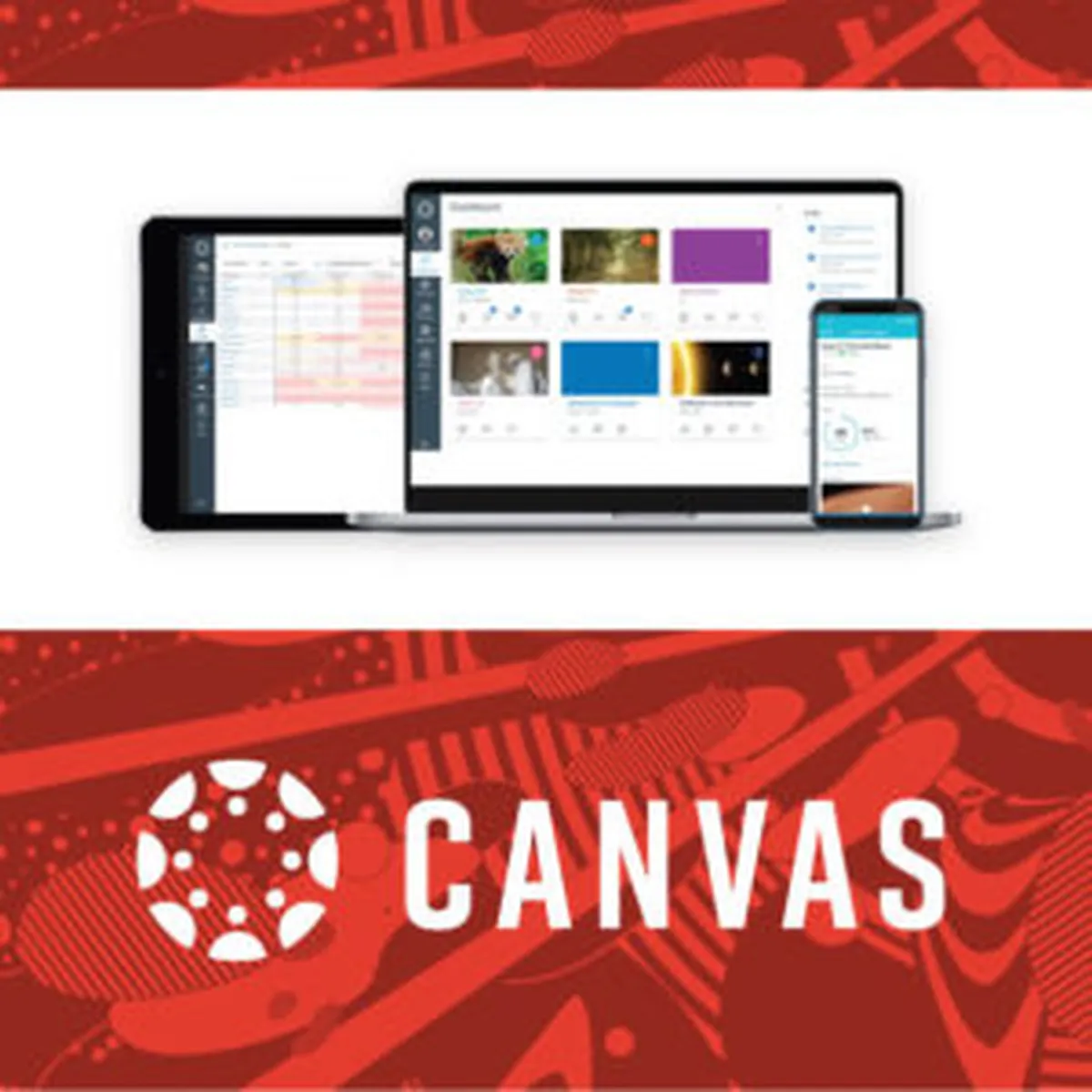 Canvas Review
