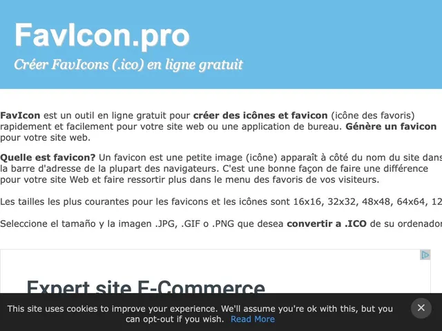 FavIcon.pro Screenshot