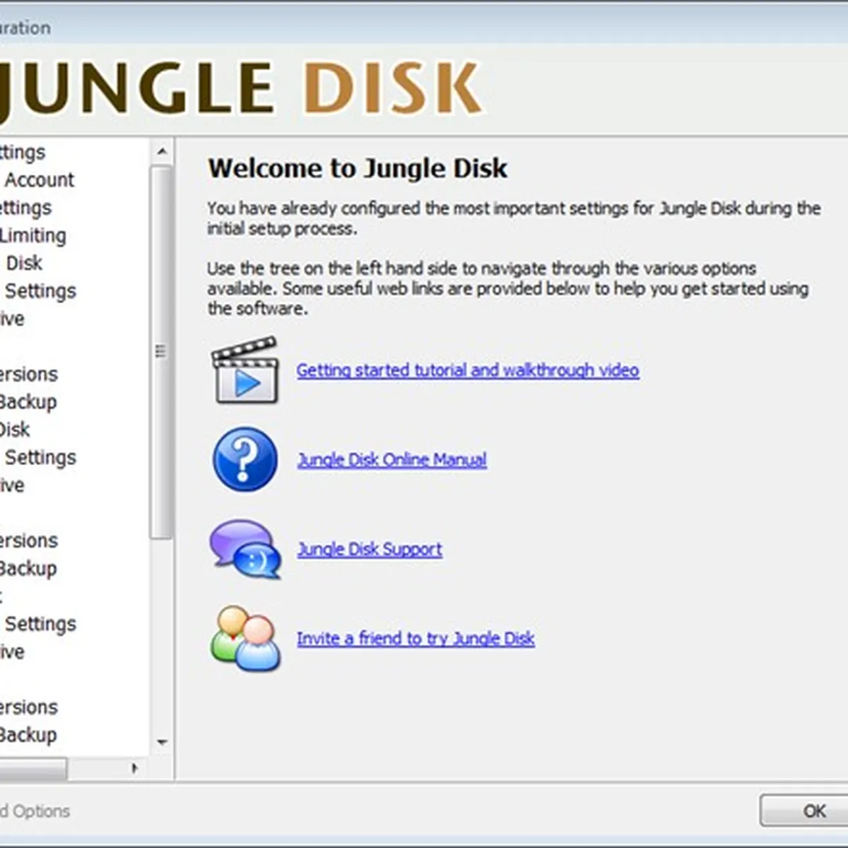 JungleDisk Review