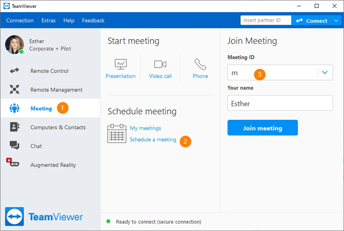 TeamViewer Meeting Screenshot