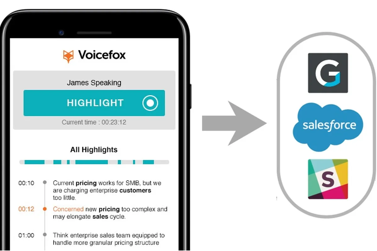 Voicefox Review